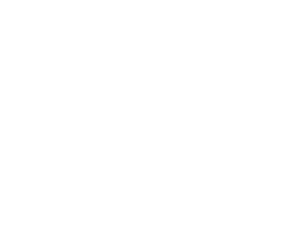 White #FFFFFF